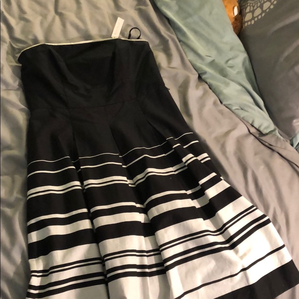 NWT! Gorgeous cocktail or occasion dress